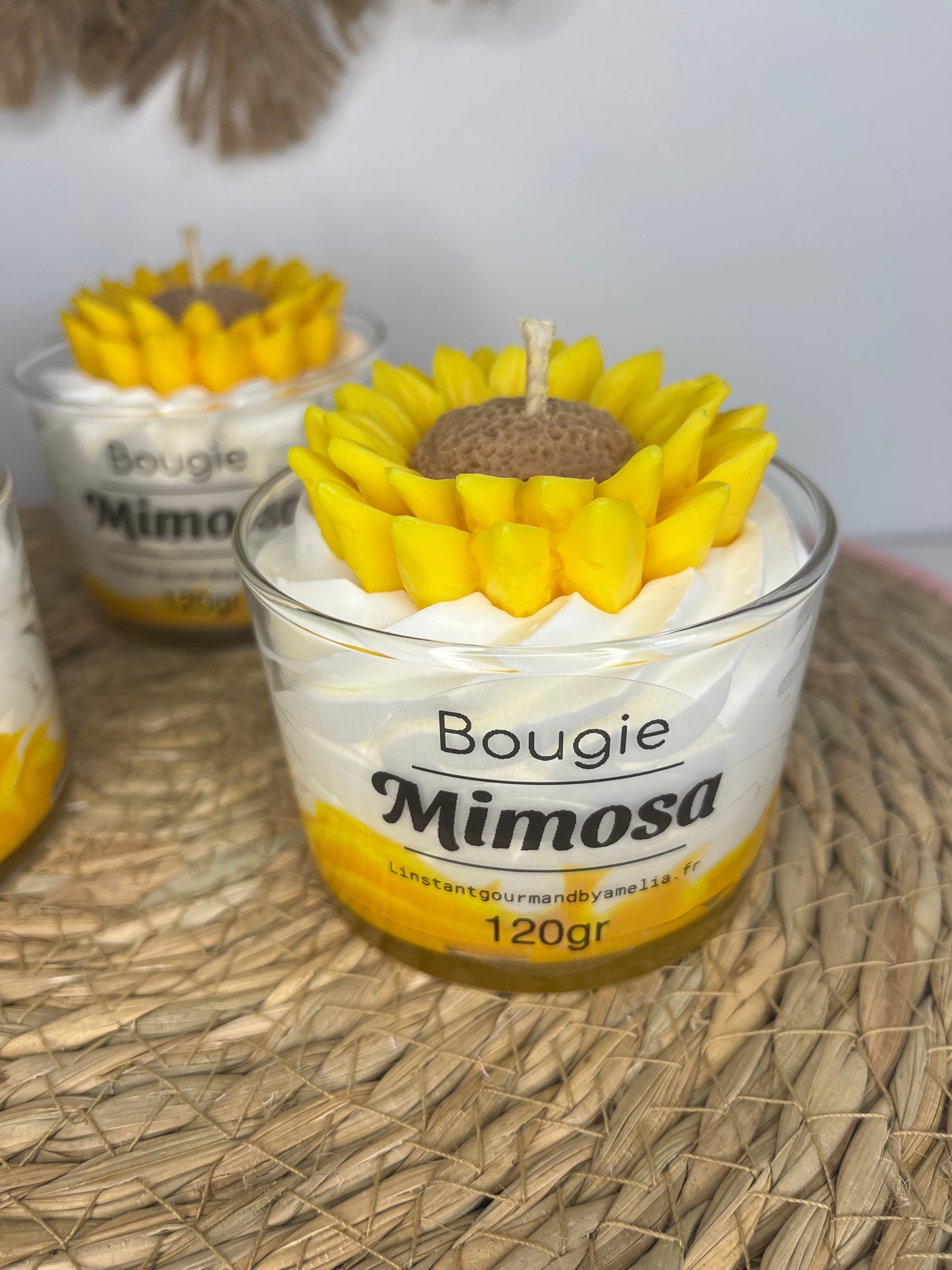 Bougie mimosa