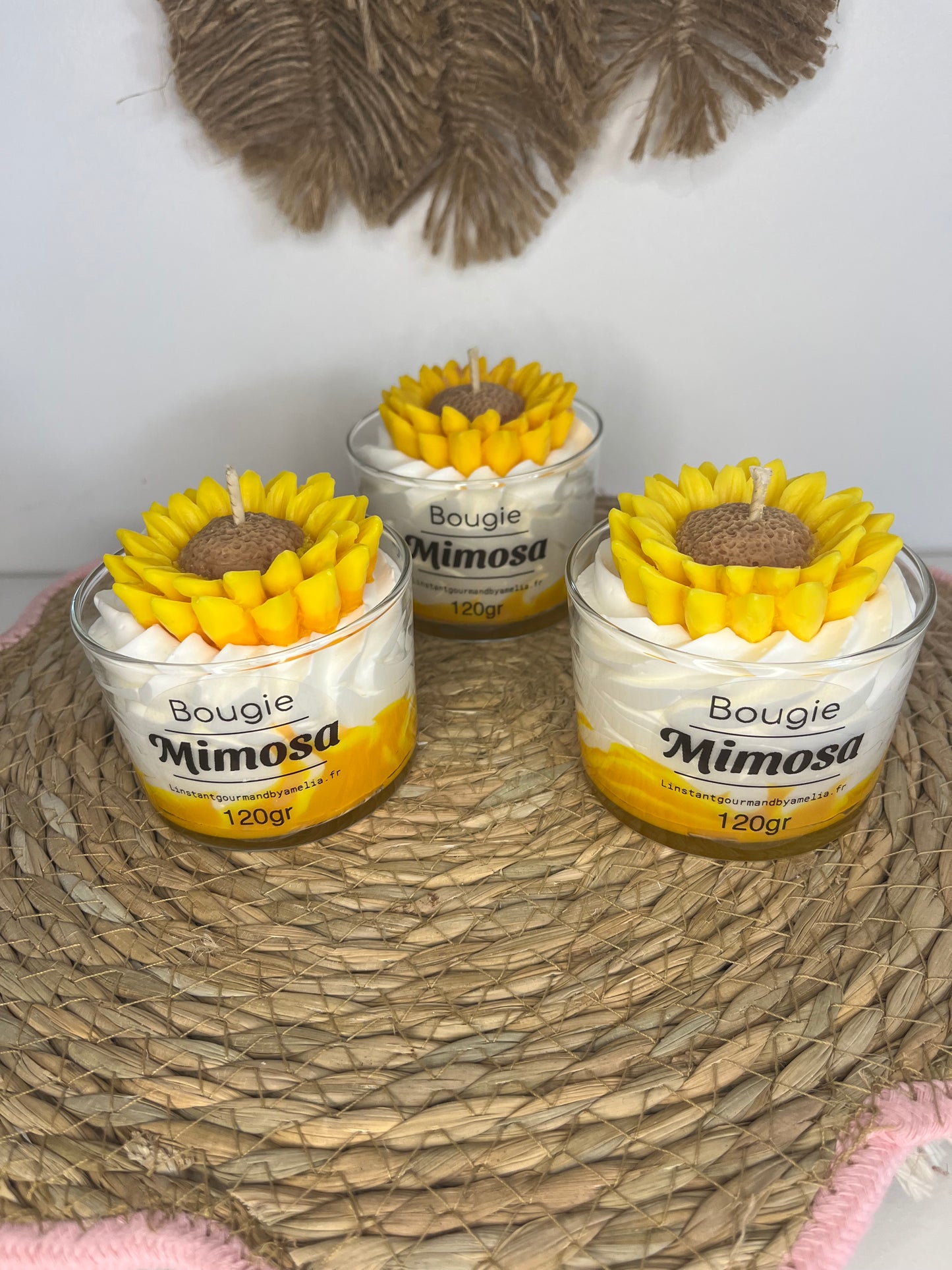 Bougie mimosa