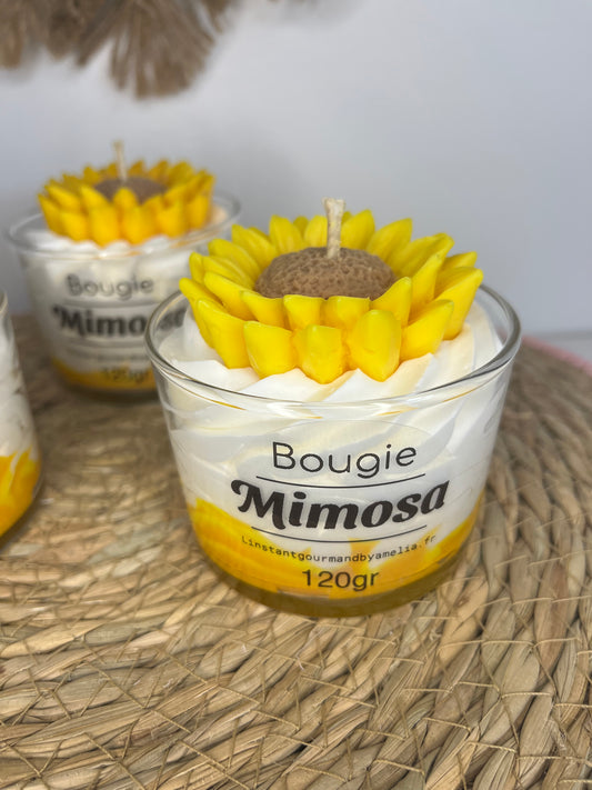 Bougie mimosa