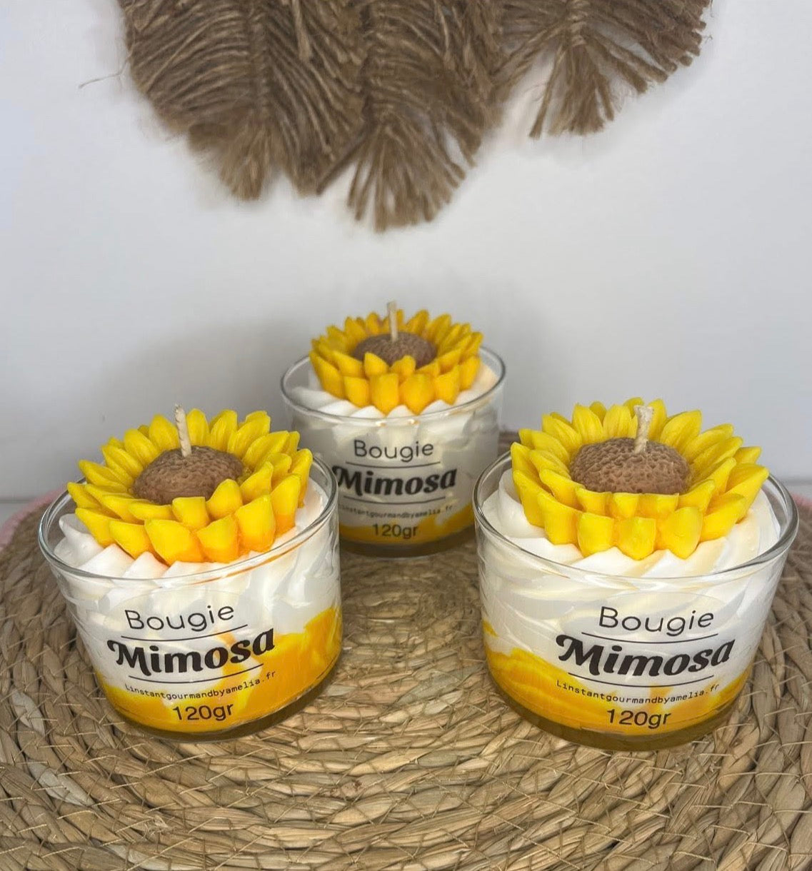 Bougie mimosa